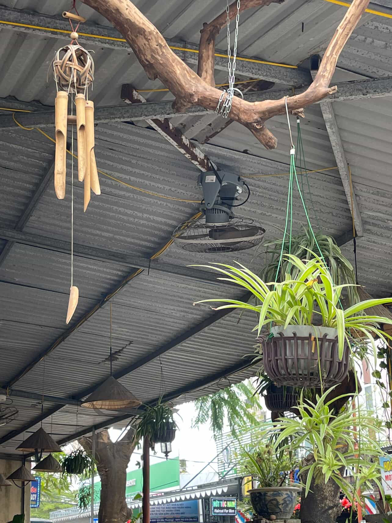 Corrugated metal ceiling with bamboo windchimes, driftwood branch and hanging plants