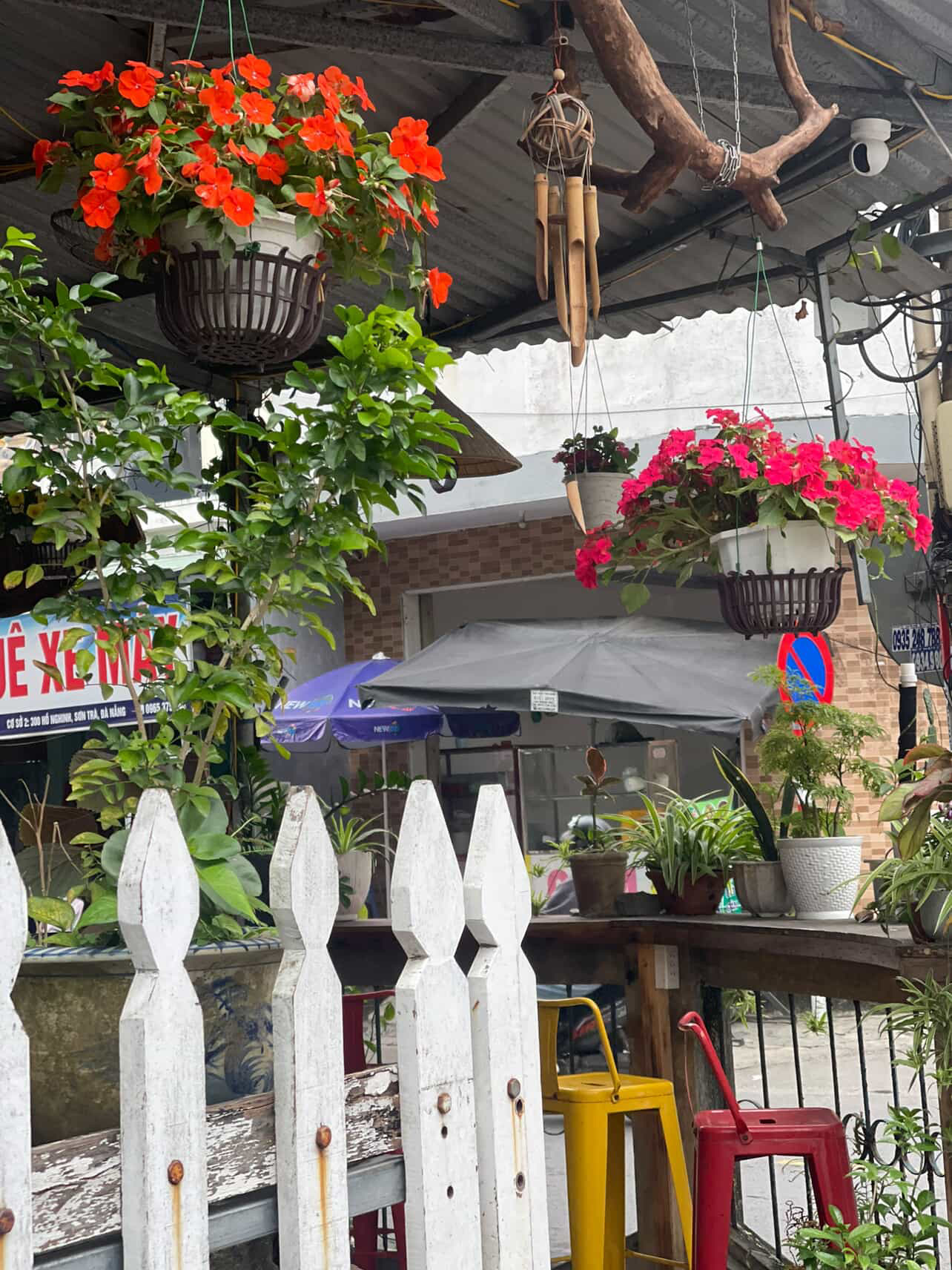White picket fence with hanging red and pink flowers in daylight