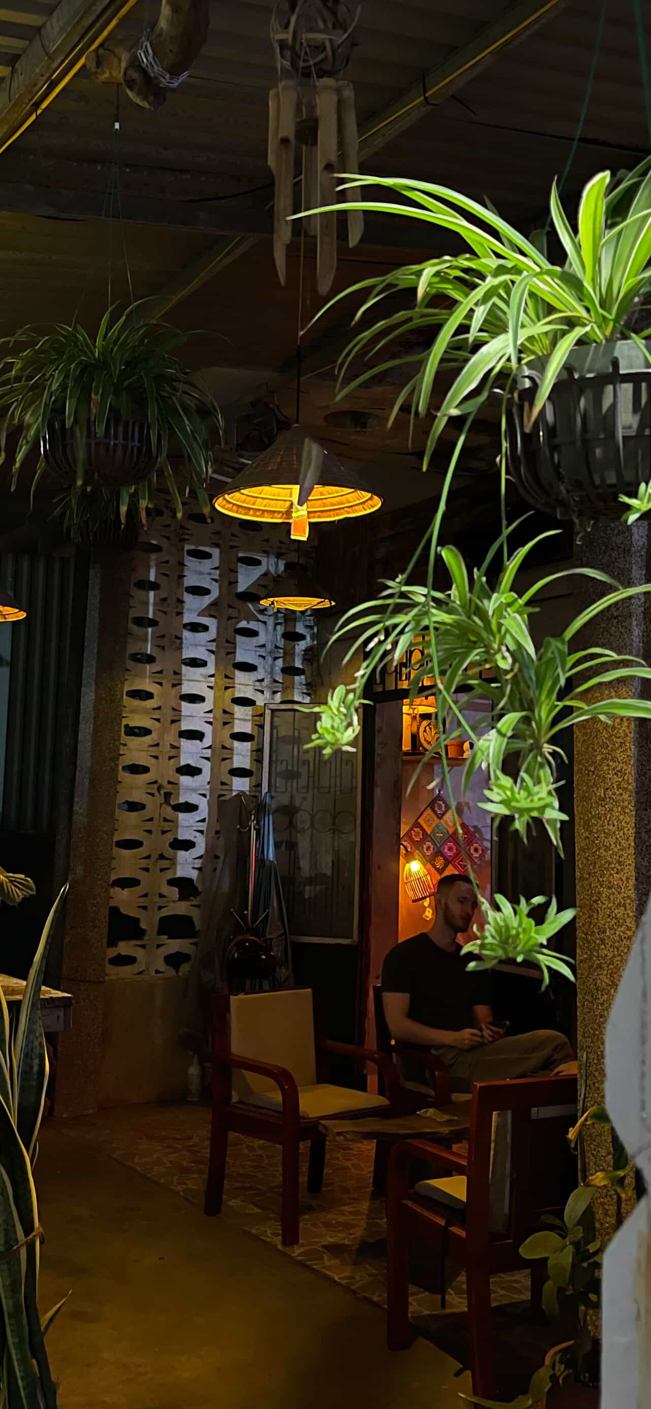 Interior at night with hanging plants, conical lamps and a guest seated in warm light